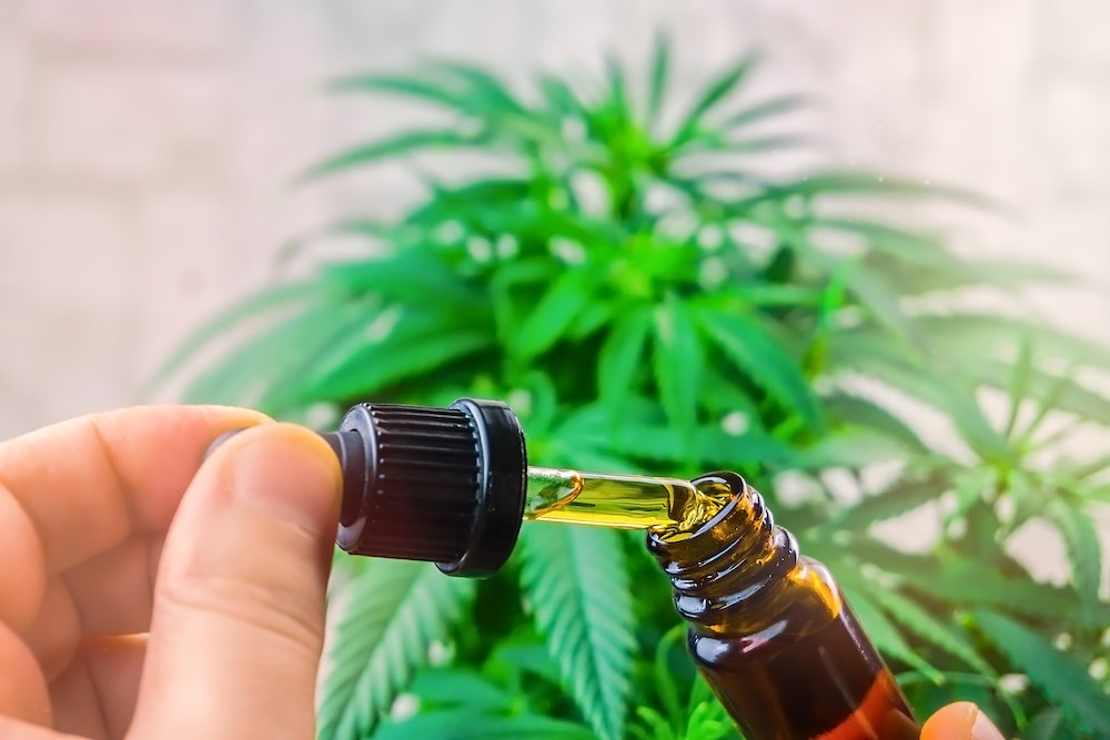 Franchises : le marché du CBD en pleine explosion